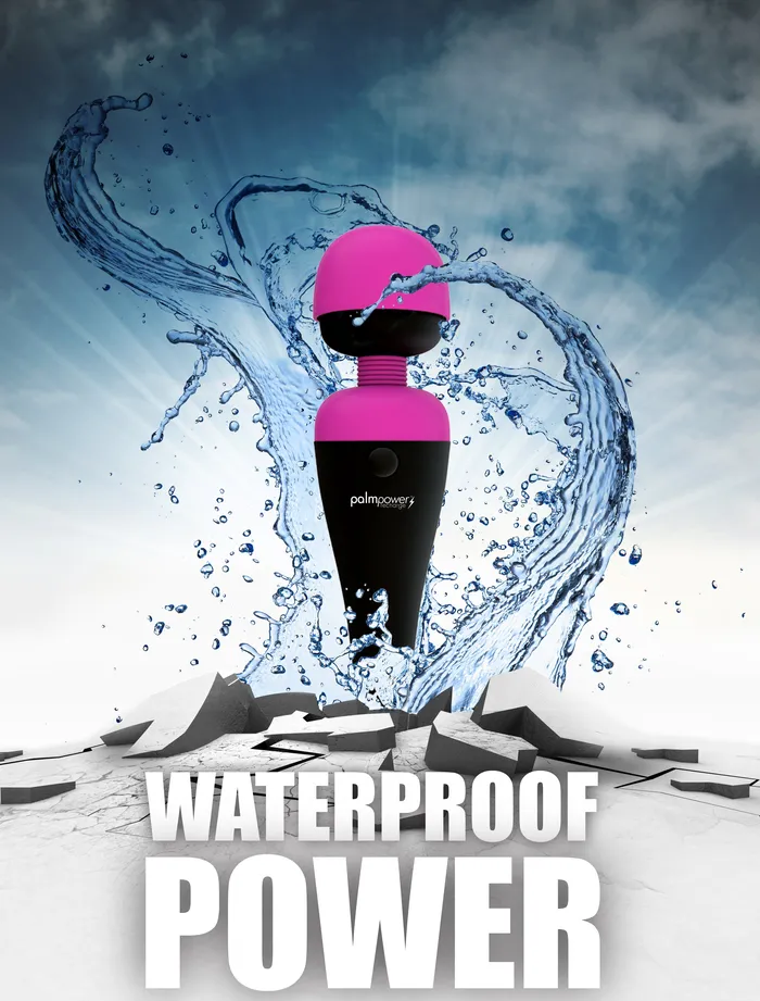 PalmPower Massage Wand Recharge Waterproof PalmPower Vibrators
